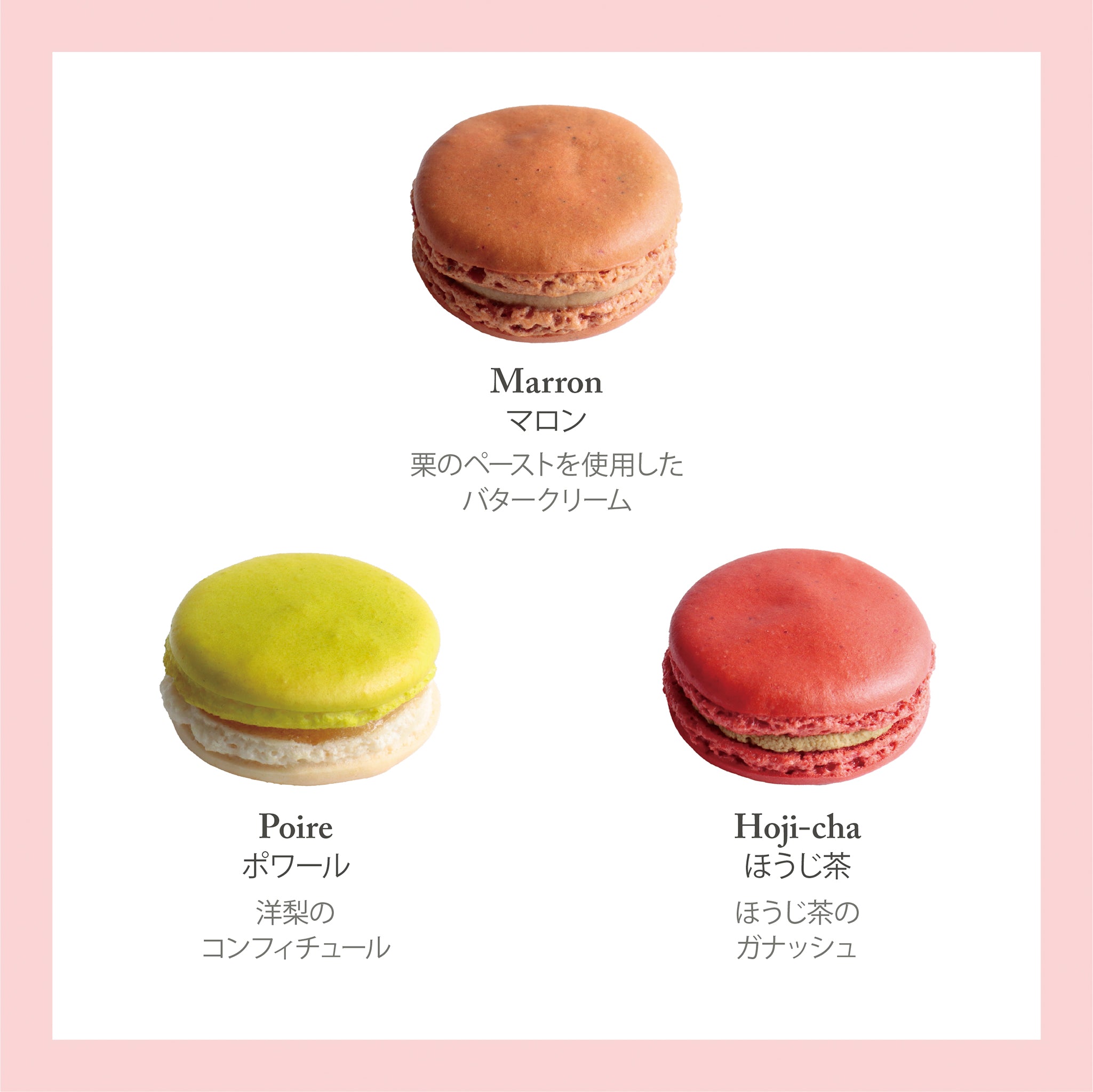 マカロン 12個