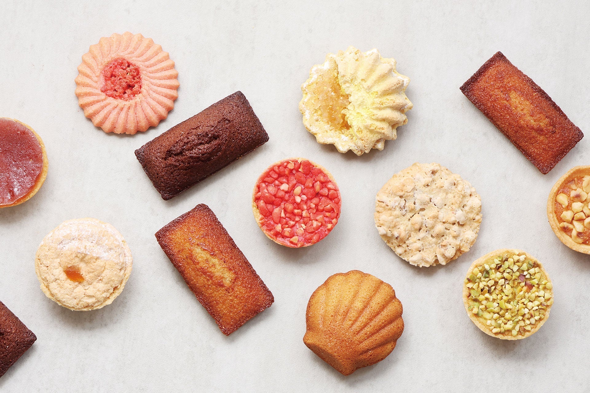 2026年 メディア掲載実績