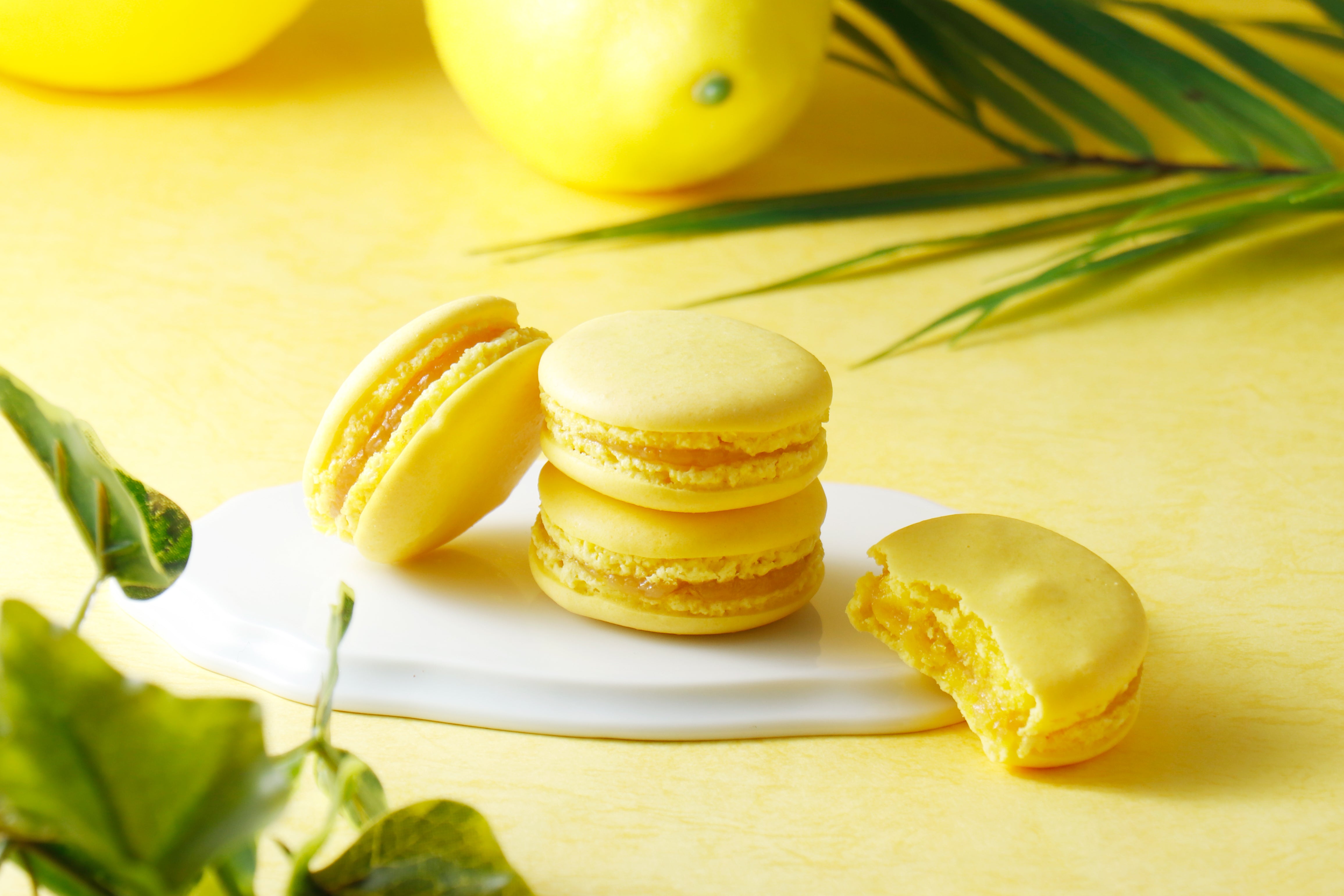 マカロン デュ モモン 「湘南ゴールド」