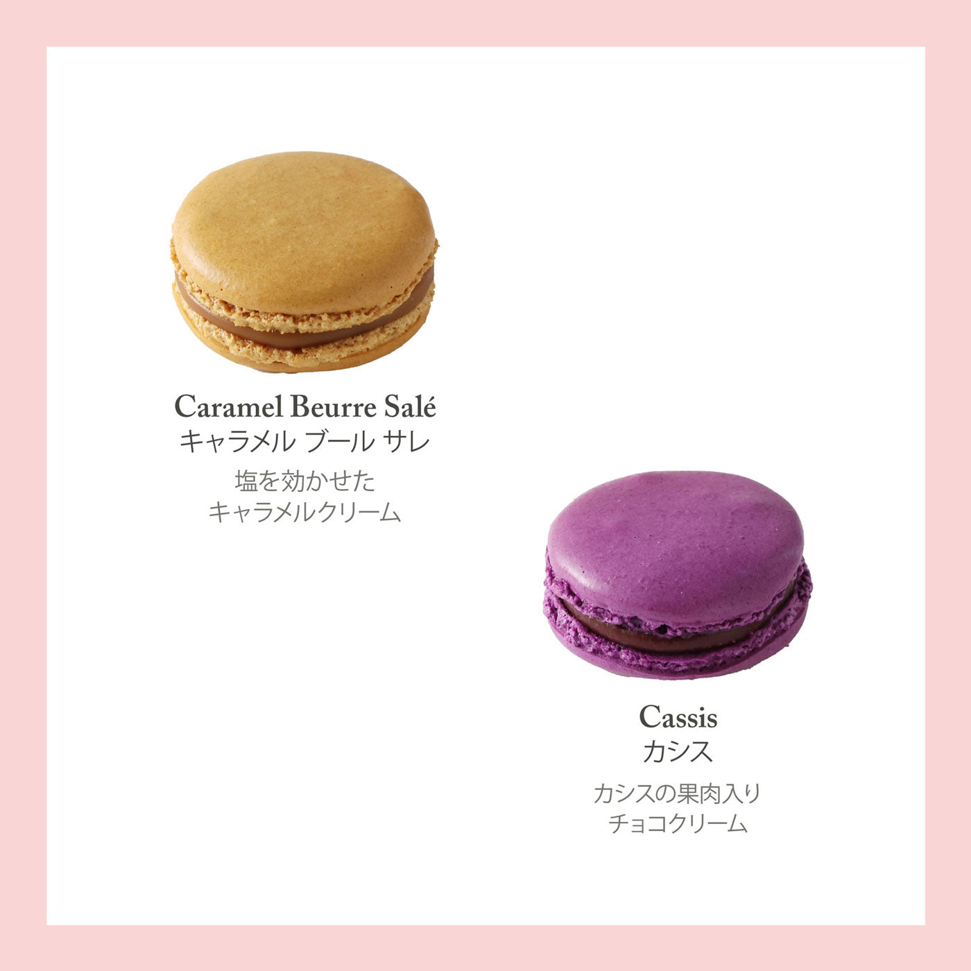 マカロン 12個入 洋菓子 ギフト プレゼント