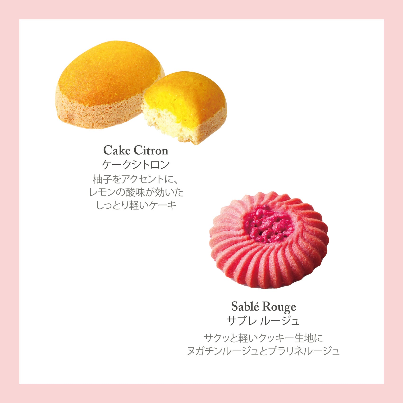 アソートバリエM 15個入 タルトレット 焼き菓子 ギフト プレゼント