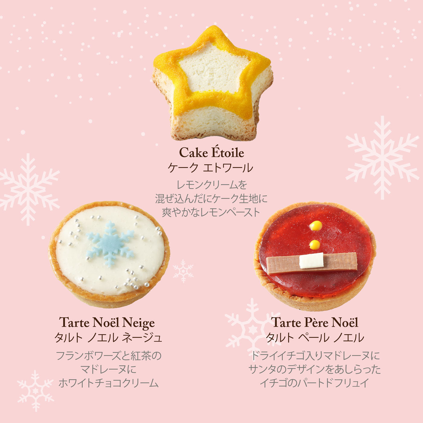 シャルム・ド・ノエル 6個入 焼き菓子 ギフト プレゼント クリスマス