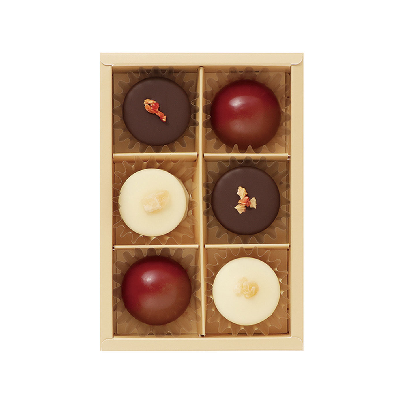 シャンパンカクテルショコラ