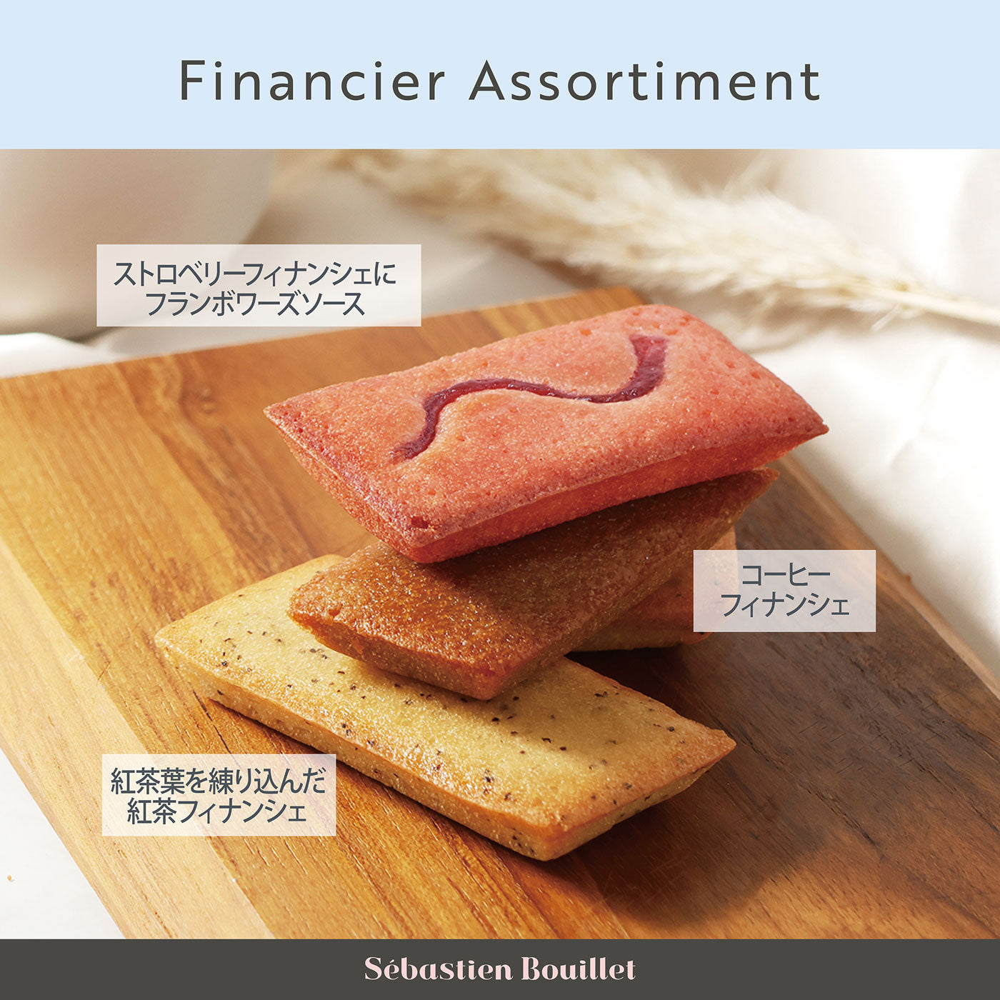 フィナンシェアソルティ