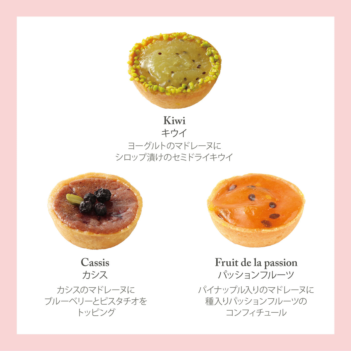 【serendipity】貴婦人の愛したお菓子　姫タルトレット型 タルトレット 9個入 ギフト プレゼント 焼き菓子 洋菓子