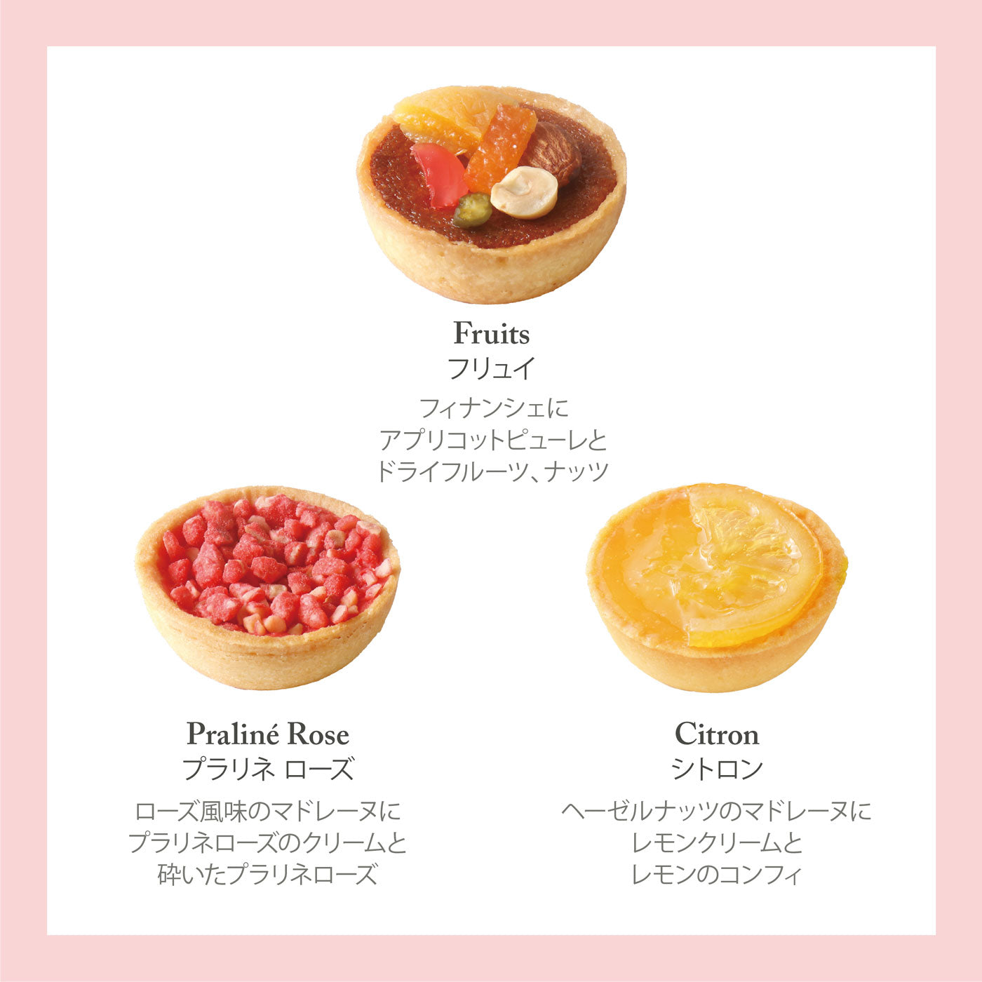 タルトレット 16個入 ギフト プレゼント 焼き菓子 洋菓子