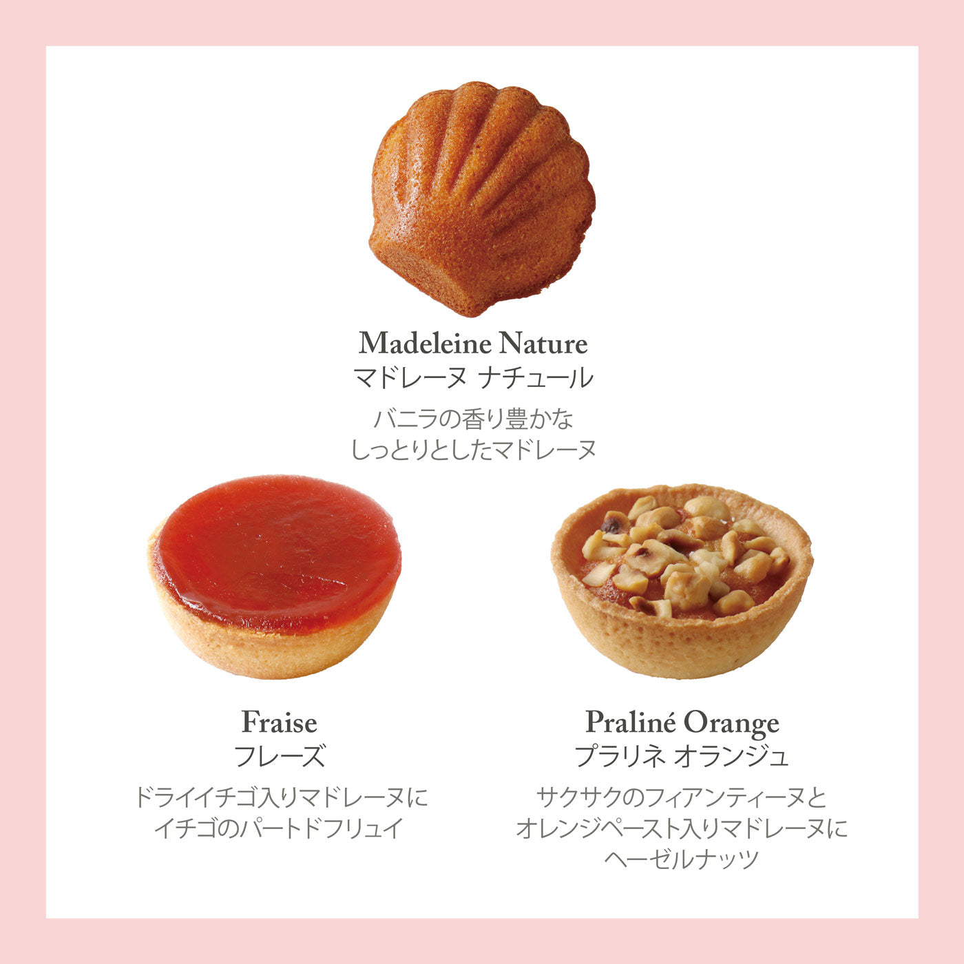 アソートバリエM 15個入 タルトレット 焼き菓子 ギフト プレゼント